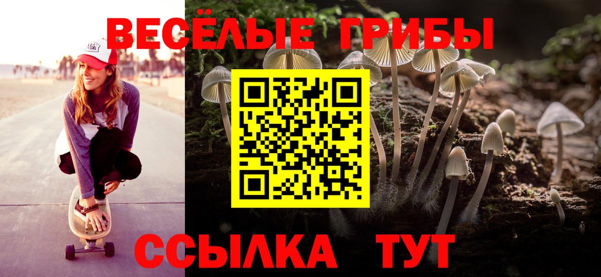 Псилоцибиновые грибы мухоморы Орехово-Зуево