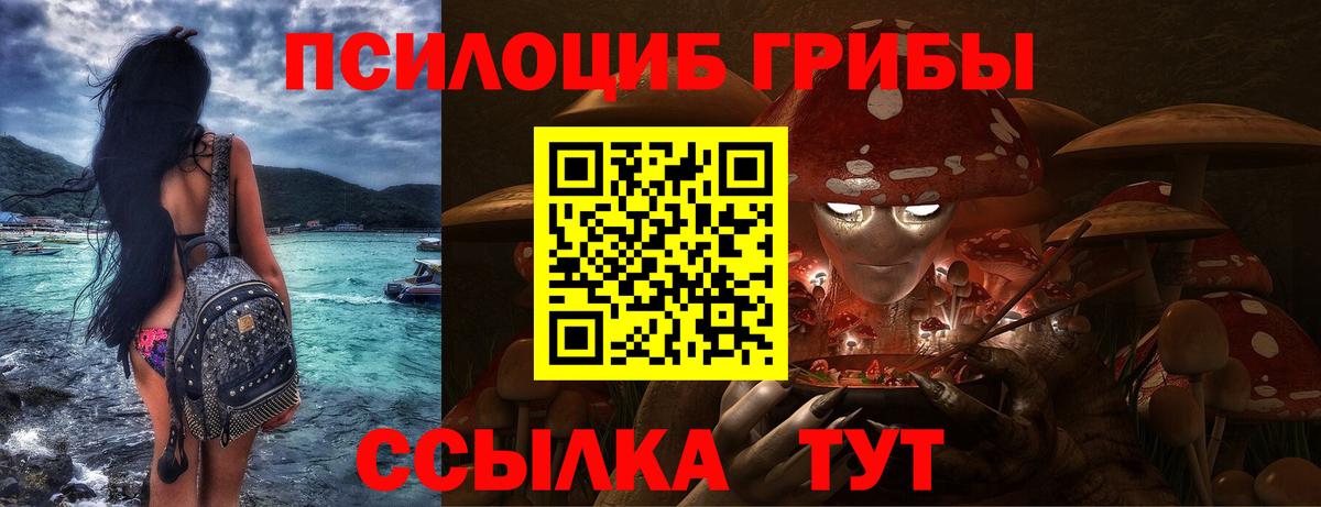 Орехово-Зуево  Псилоцибиновые грибы GOLDEN TEACHER  Вход с VPN 
